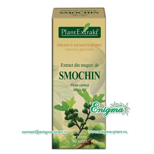 extract-muguri-smochin-91e.jpg Extract din muguri de smochin – 50ml