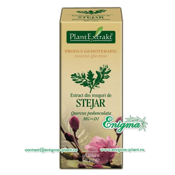 extract-muguri-stejar-6b1.jpg Extract din muguri de stejar – 50ml