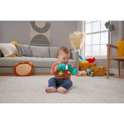 Fisher Price Rechinul Prietenos
