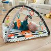 fisher-price-saltea-muzicala-3-in-1-cu-centru-de-activitati-2.jpg Fisher Price Saltea Muzicala 3 In 1 Cu Centru De Activitati