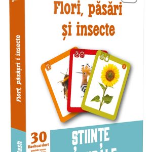 Flori pasari si insecte