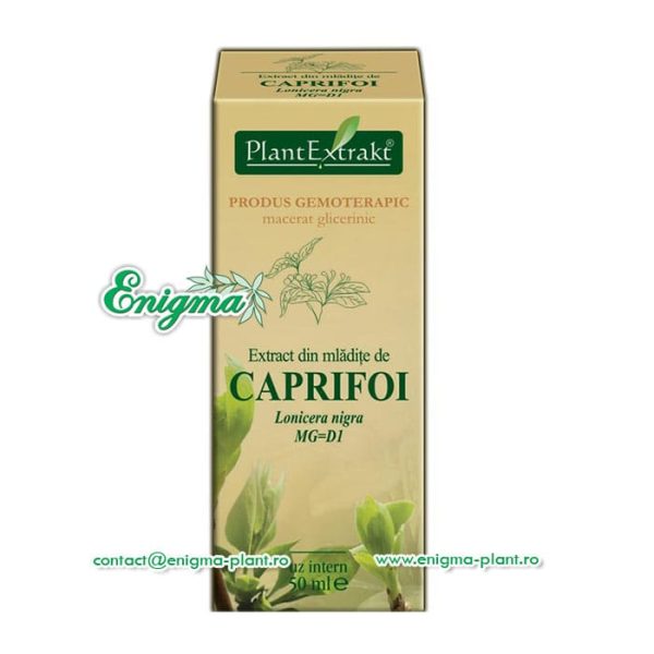 gemoterapie-extract-mladite-caprifoi-37e.jpg Extract din mladite caprifoi – 50ml