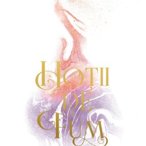 Hoții de fum