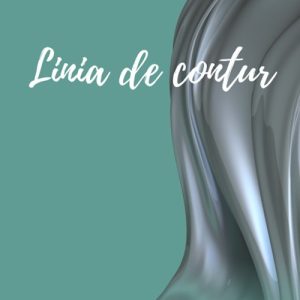 Linia de contur. Cronici literare I