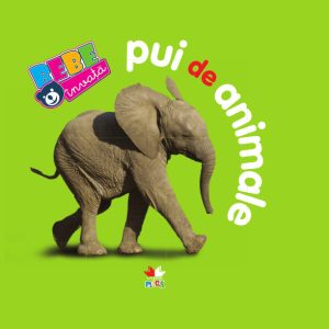 Pui de animale. Bebe învață