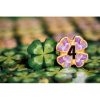 Lucky Numbers, limba romana
