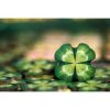 Lucky Numbers, limba romana