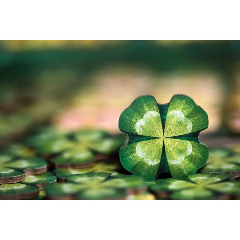 Lucky Numbers, limba romana