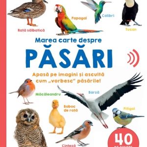 Bebe invata. Marea carte despre pasari. 40 de sunete de pasari