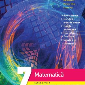 Matematica. Caiet de activitati. Clasa a VII-a