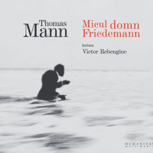 Micul domn Friedemann (MP3)