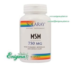 MSM, Solaray