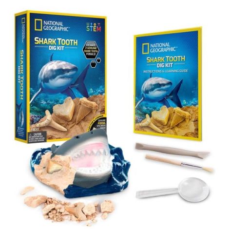 national-geographic-kit-creativ-sa-cautam-dinti-de-rechini-5.jpg National Geographic - Kit Creativ Sa Cautam Dinti De Rechini