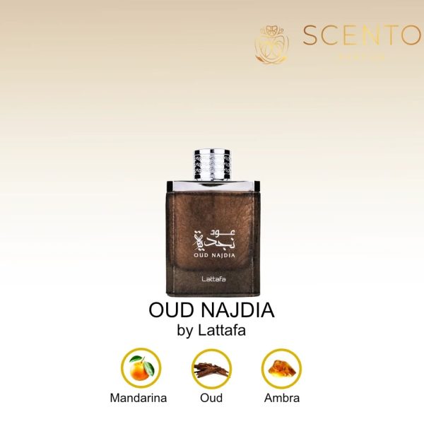 Parfum arabesc Oud Najdia, Lattafa, apa de parfum 100 ml, barbati - Original Dubai