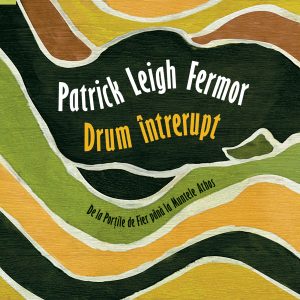 Drum intrerupt (epub)