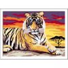 pictura-pe-numere-tigru-1.jpg Pictura pe numere - tigru 28937 Ravensburger