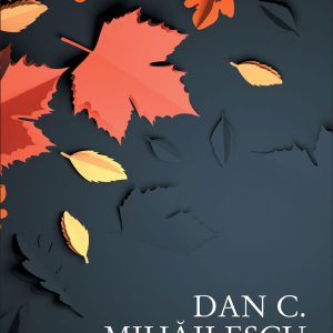 podul_cu_vechitur-ebooki_2.jpg Podul cu vechituri. Cronici (ebook)