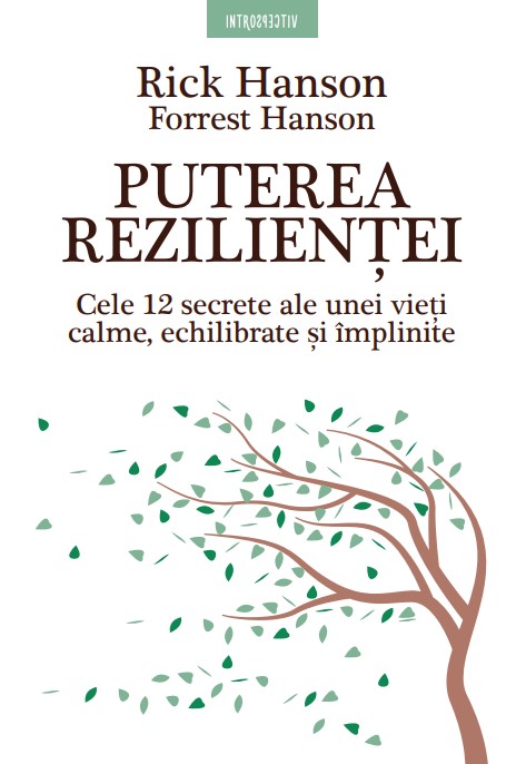 Puterea rezilientei. Cele 12 secrete ale unei vieti calme, echilibrate si implinite