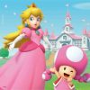 Puzzle Super Mario, 3X49 Piese