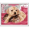 Ravensburger - CreArt pictura pe numere pentru copii catelus si pisicuta pe patura