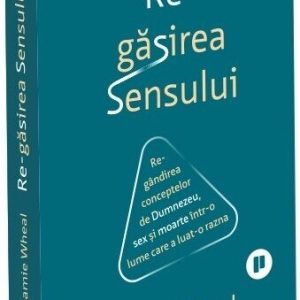 Regăsirea sensului. Regândirea conceptelor de Dumnezeu, sex și moarte într-o lume care a luat-o razna