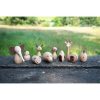 set-10-animale-din-lemn-lumea-animalelor-6.jpg Set 10 animale din lemn Lumea Animalelor