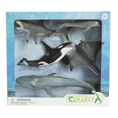 set-de-5-figurine-pictate-manual-viata-marina-84072.png Set de 5 figurine pictate manual Viata Marina