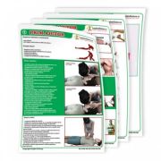 set-planse-prim-ajutor-50-cm-x-70-cm.jpg Set planse prim ajutor pentru scolile de soferi, 50 x 70 cm