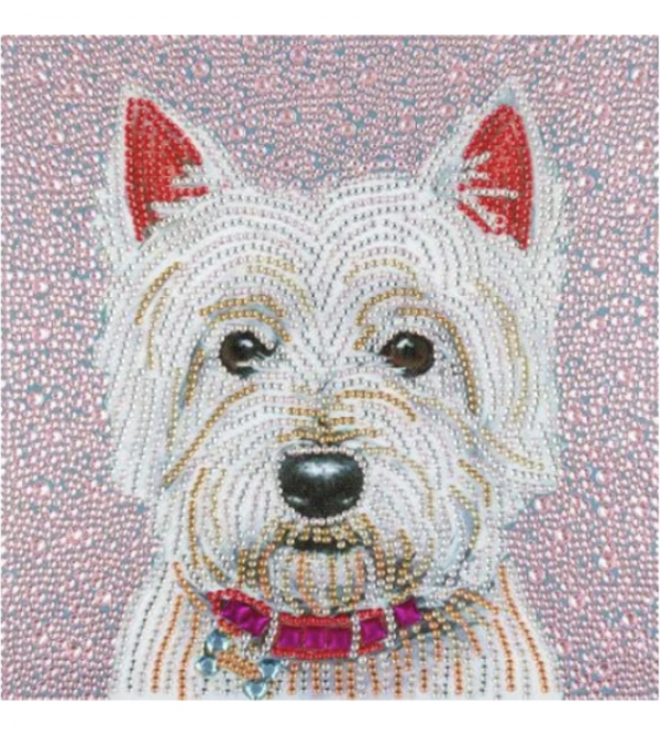 Tablou GM536 Catel Bichon alb Pictura cu Diamante, Goblen cu pietre 5D, cu rama de lemn, 20 x 30 cm