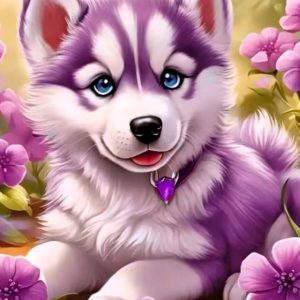 Tablou pm10023 Catel Puppy Husky, Picteaza Dupa Numere, cu rama, 20x30 cm