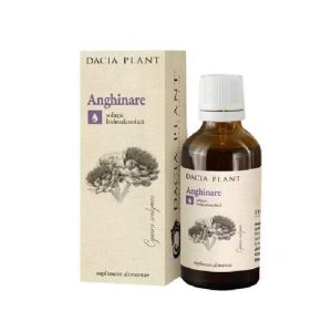 Tinctura Anghinare
