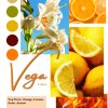 Vega by Patric, apa de parfum 100 ml, femei