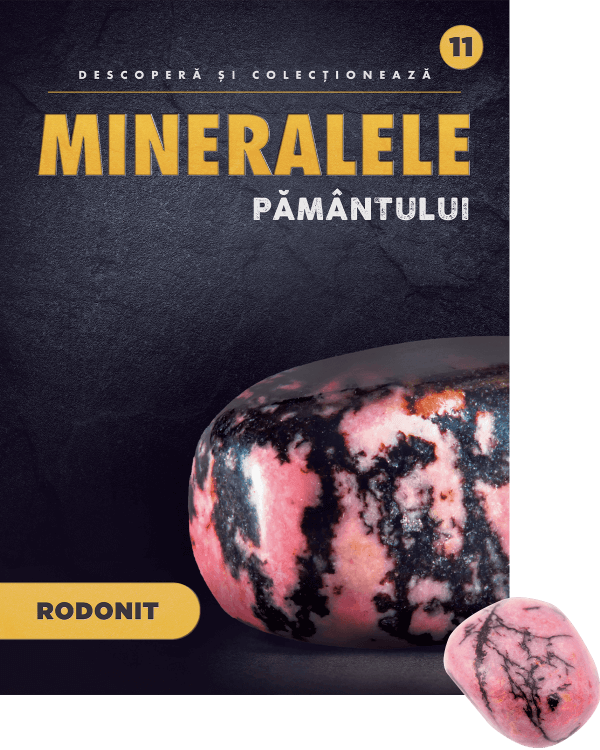 Rodonit. Volumul 11. Mineralele Pamantului