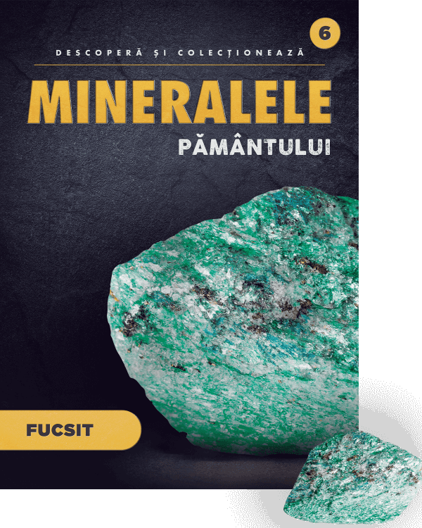 Fucsit. Volumul 6. Mineralele Pamantului